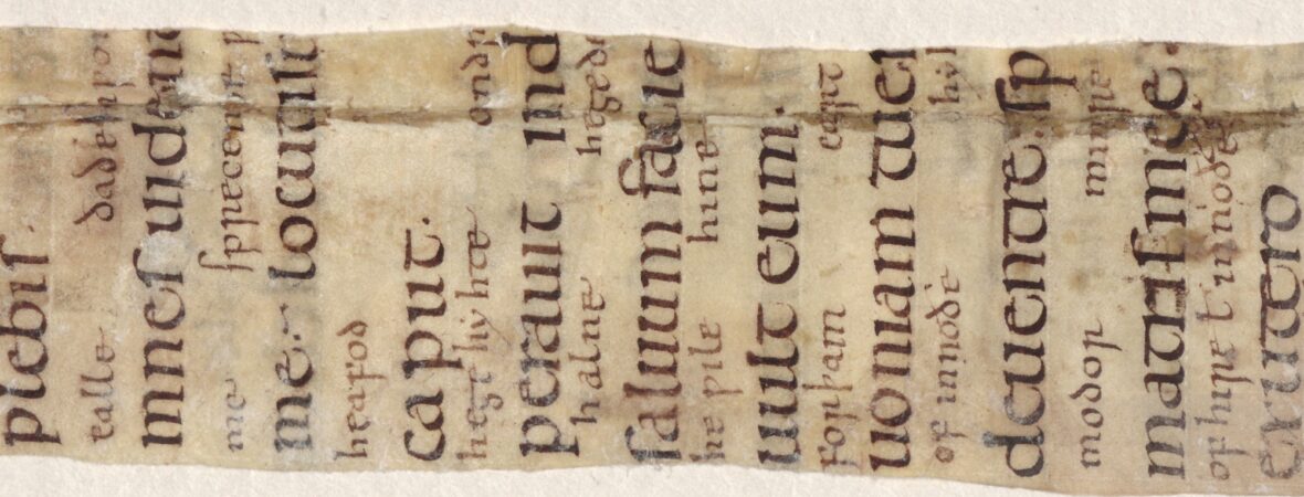 N-Psalter fragment, C. Norwid Library, Elbląg